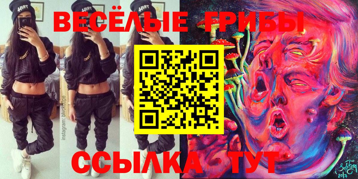 Галлюциногенные грибы GOLDEN TEACHER Стрежевой