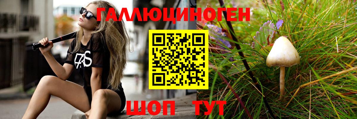 Псилоцибиновые грибы Psilocybe  Вход с VPN  Стрежевой  Галлюциногенные грибы мухоморы 